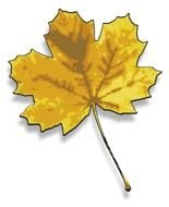 Clip art of Cute Lemon leaf