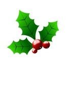 drawn green holly with red berries