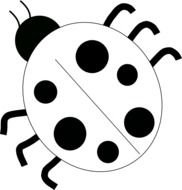 Ladybug Black And White Panda Free Images N2