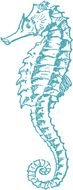 drawn blue seahorse on a white sheet