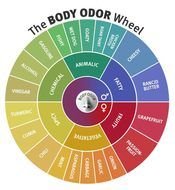 body odor wheel
