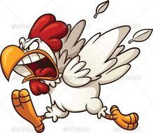 Angry Chicken Animals Characters