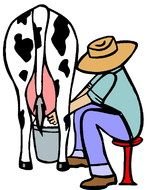 image of a farmer milking a cow