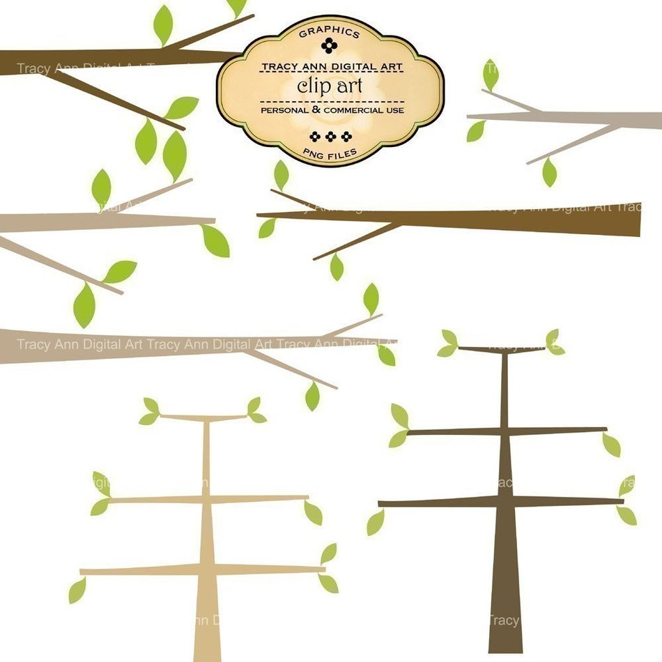 drawings of oaks on a white background