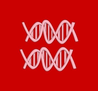 Dna Black White Linkedin Red Equal I Support Love Marriage Equality