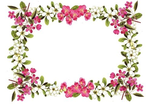 Free Digital Freebies Clips Art Border Decor