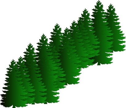 Evergreen Cluster At Clkercom Vector Online