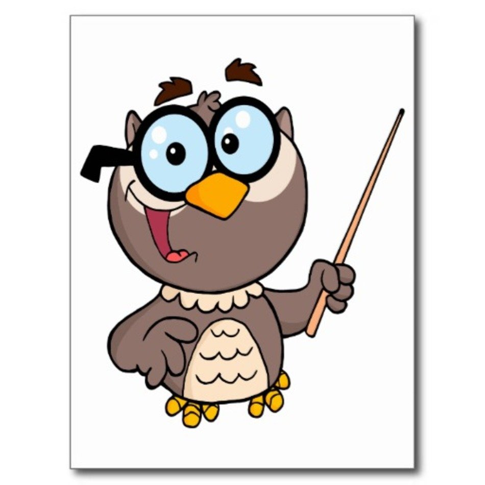 Cute Wise Owl Teaching Teacher Cartoon Postcard Zazzle