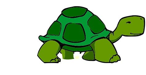 Turtle Cute Panda Free Images clipart