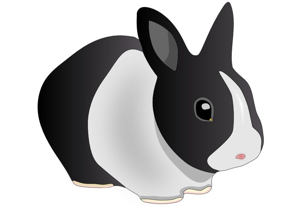 Friendly Rabbit drawing