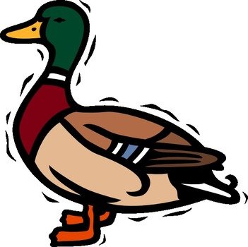 Shaking Duck At Clkercom Vector Online Royalty
