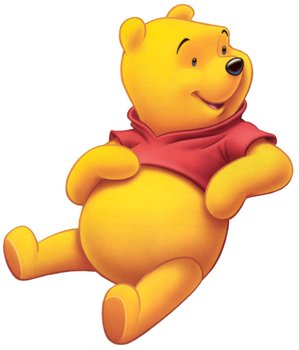 Bear Of Little Brain The Best Possible