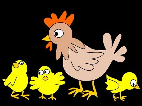 chicken with chickens as a picture for clipart
