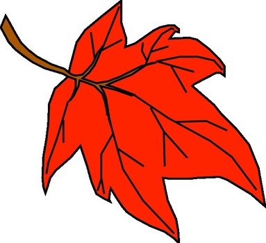 Orange Leaf drawing