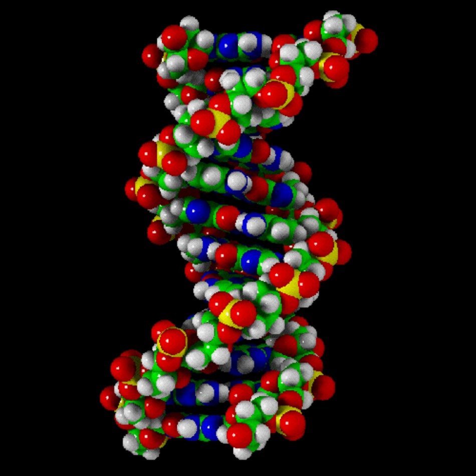 double helix of cells and energy