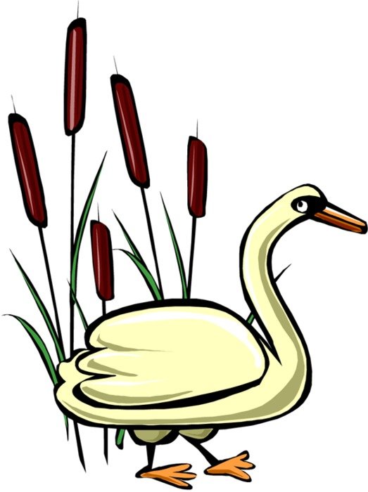 Back &gt Gallery For Black Swan