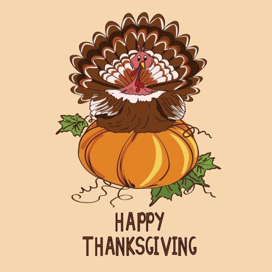 Pin By Cg Vector On Thanksgiving Day Graphics Greeting Card