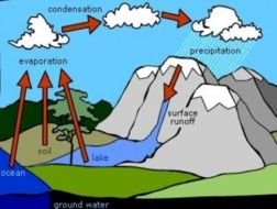 water cycle in nature poster drawing