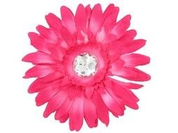 pink gerbera flower on a white background