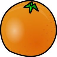 drawing of an orange on a white background