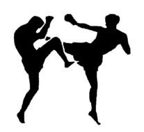 Ring Sport Kickboxing