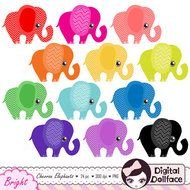 Chevron Elephant Digital Rainbow Instant