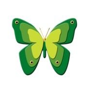 Green Foam Butterfly drawing