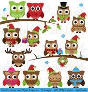 Cute Christmas Eule Winter Eulen