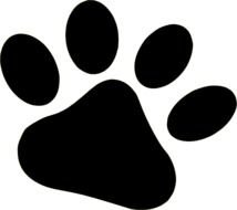 black animal footprint on a white background