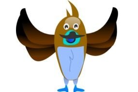 Happy Bird With Spread Open Wings Vector