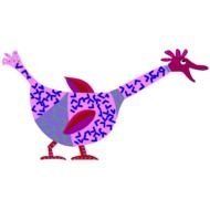 Funny Bird Birds Animal