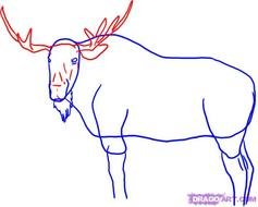 Easy Moose Drawing Search Results Latest Lucky