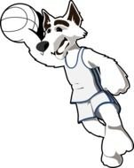 Wolf Basketballwolf drawing