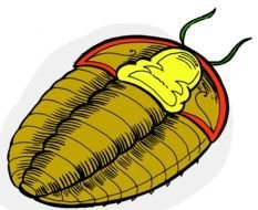 painted Trilobite