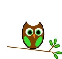 Green Owl drawing