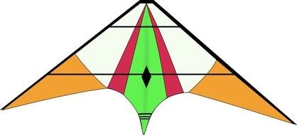 picture of a beautiful kite