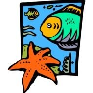 fish and sea star drawing