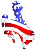 american flag on horse