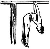 drawing of a gymnast