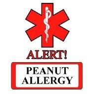 Medical Id &rsaquo; For Kids Peanut Allergy Tattoos