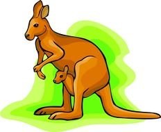 Jumping Kangaroo Panda Free Images