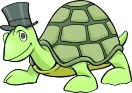 Turtles in hat drawing