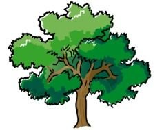 painted green tree on a book page