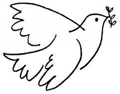 dove bird drawing