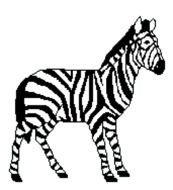 Zebra drawing