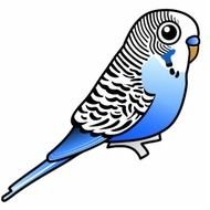 Cute Birdorable Blue Budgie Photo Sculpture Magnet Zazzle