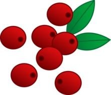 painted red cranberries