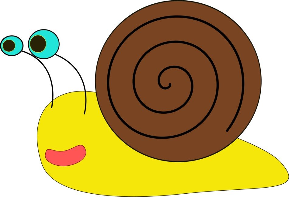 animated snail