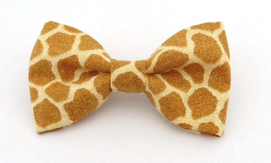 Boys Giraffe Bow drawing