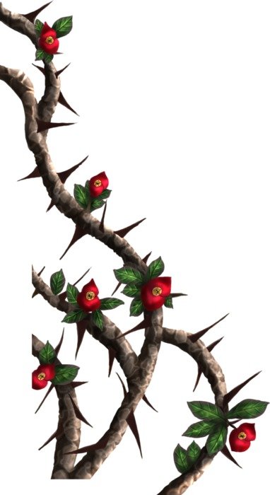 Drawings Of Roses